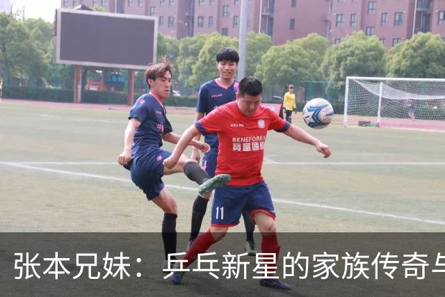 张本兄妹：乒乓新星的家族传奇与舆论夹缝